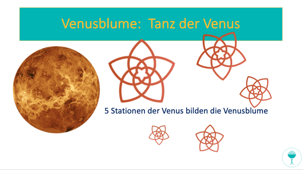 Venusblume: Tanz der rückläufigen Venus