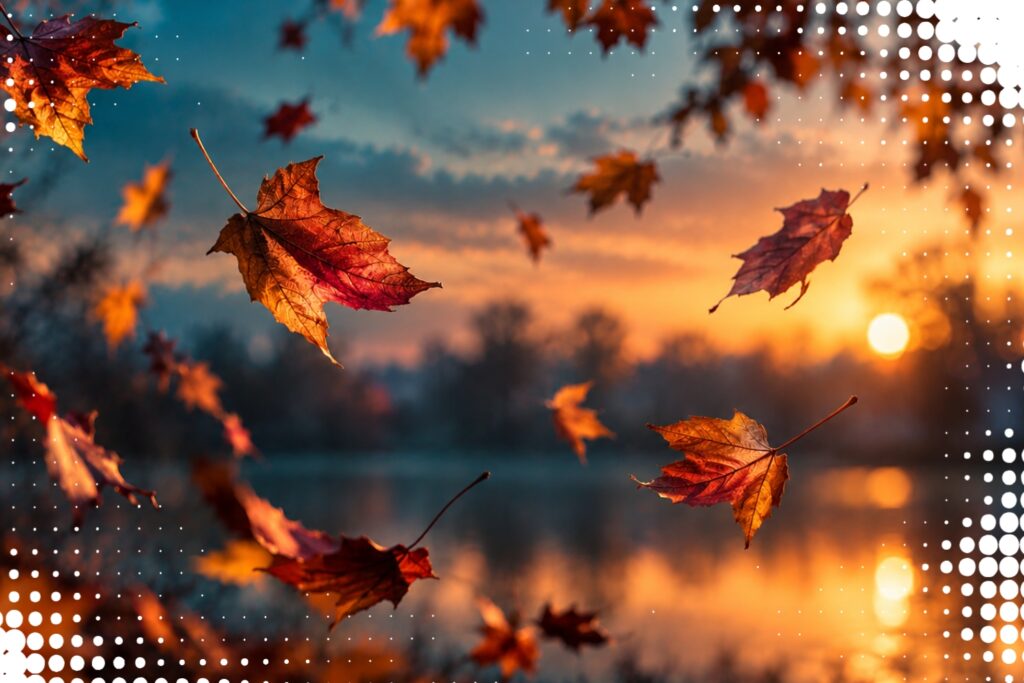Fallende Herbstblätter im Abendlicht zur Monatsvorschau Oktober 2026